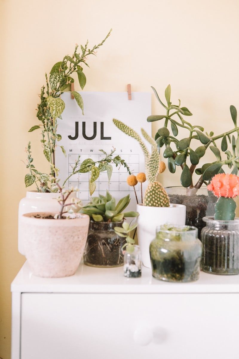 July Journal